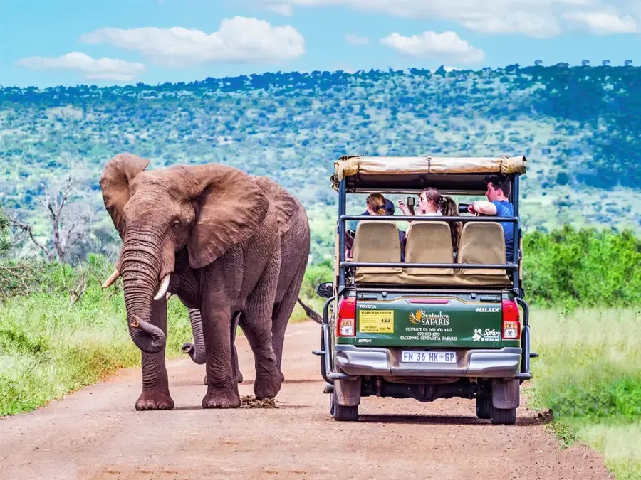 Kruger National Park