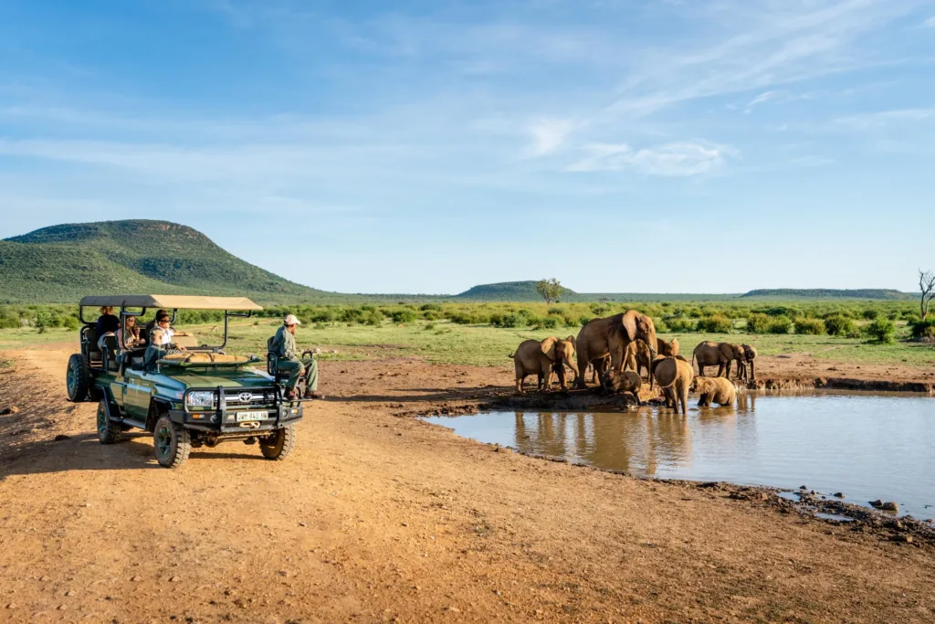 Madikwe Game Reserve