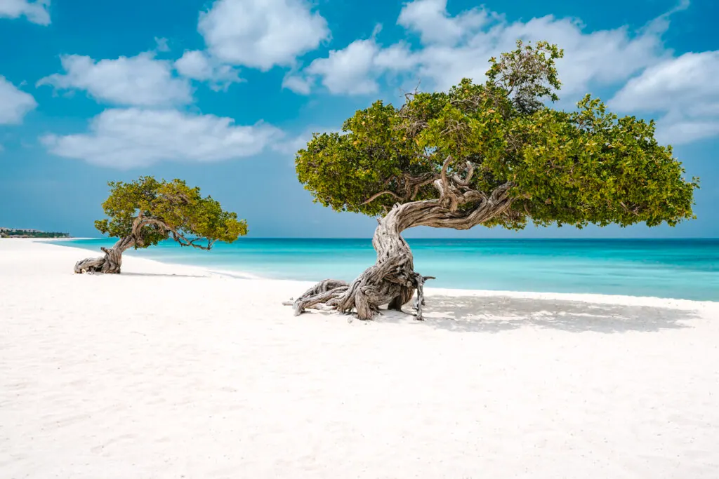Eagle-beach-wedding-aruba